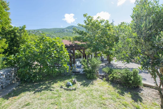 Apartmán Severní Dalmácie - Karlobag DA 17233 N2