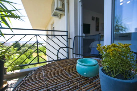 Apartmán Severní Dalmácie - Zadar DA 17235 N1