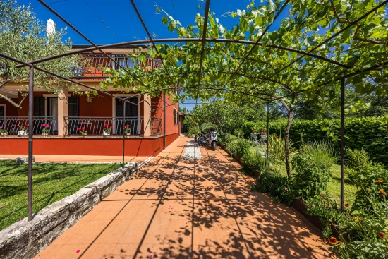 Apartmán Istrie - Novigrad IS 8058 N1