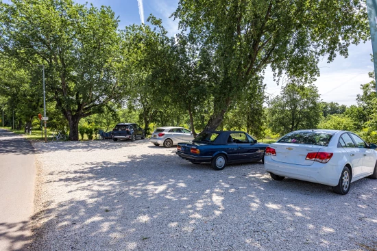 Apartmán Istrie - Novigrad IS 8058 N1