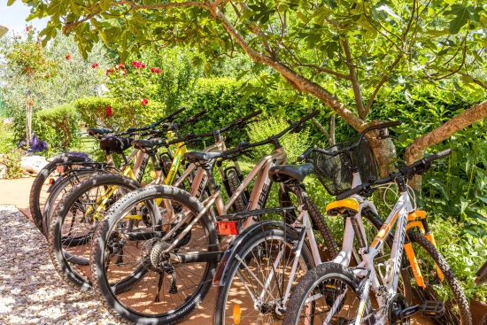 Apartmán Istrie - Novigrad IS 8058 N1