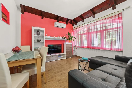 Apartmán Istrie - Novigrad IS 8058 N1