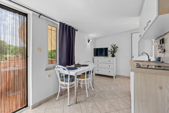 Apartmán Istrie - Novigrad IS 8058 N2