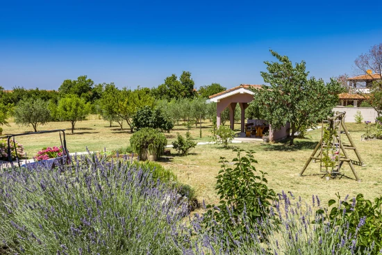 Apartmán Istrie - Vodnjan (Pula) IS 8060 N1