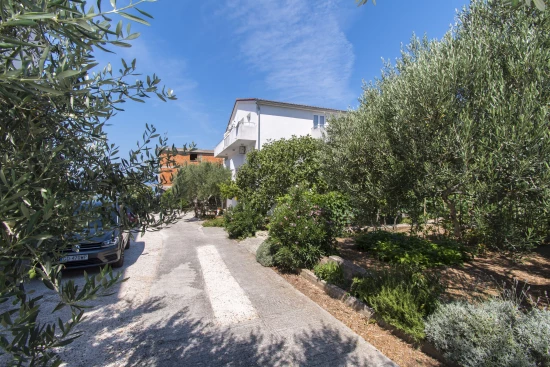 Apartmán Severní Dalmácie - Dolac (Primošten) DA 17241 N1