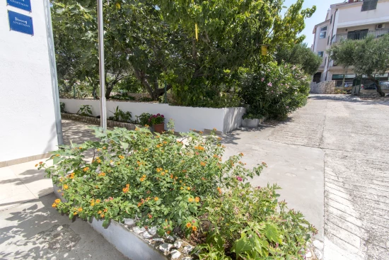 Apartmán Severní Dalmácie - Dolac (Primošten) DA 17241 N2