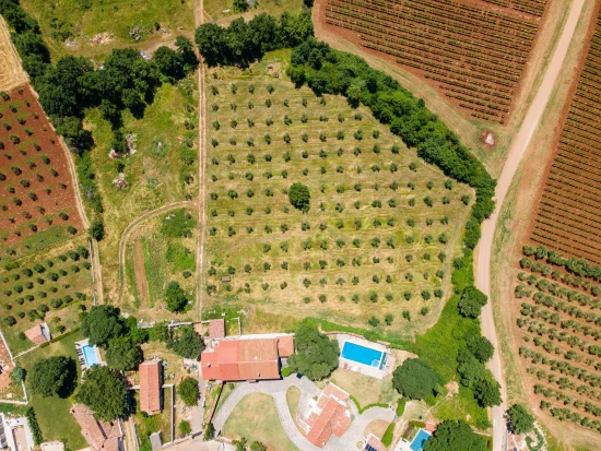 Vila Istrie - Bačva IS 8062 N1