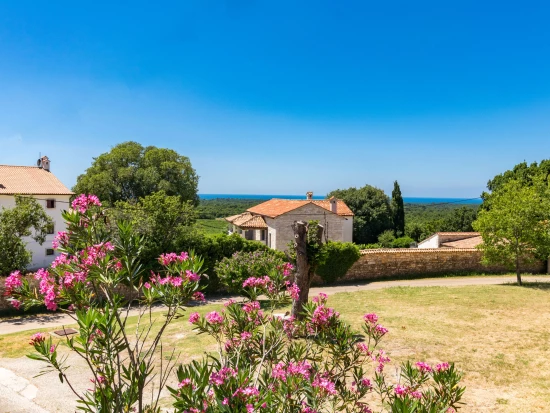 Vila Istrie - Bačva IS 8062 N1