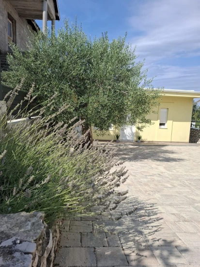 Apartmán Severní Dalmácie - Bilice (Šibenik) DA 17243 N1