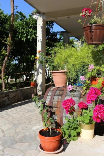 Apartmán Jižní Dalmácie - Orebić DA 17248 N1