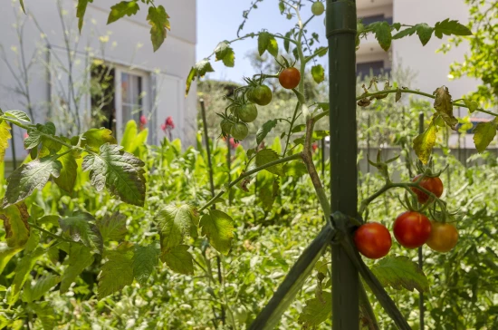 Apartmán Severní Dalmácie - Vodice DA 17249 N1