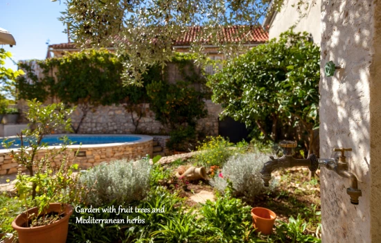 Vila Ostrov Brač OS 12196 N1