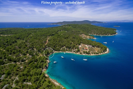 Vila Ostrov Brač OS 12196 N1