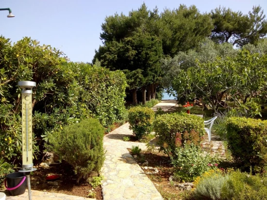 Apartmán Ostrov Ugljan - Sutomišćica OS 12198 N1