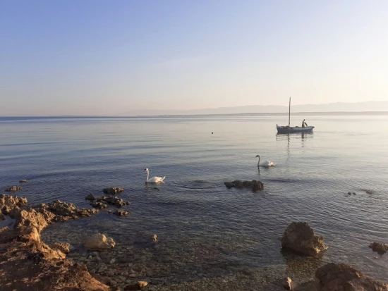 Apartmán Ostrov Ugljan - Sutomišćica OS 12198 N2