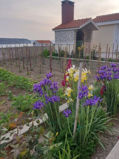 Apartmán Severní Dalmácie - Rtina DA 17252 N1