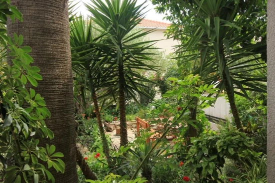 Apartmán Jižní Dalmácie - Orebić DA 17256 N1