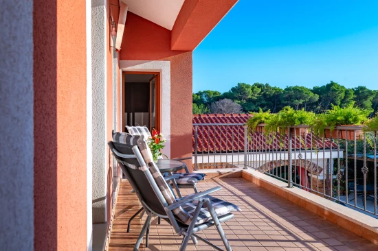 Vila Severní Dalmácie - Šibenik DA 17258 N1