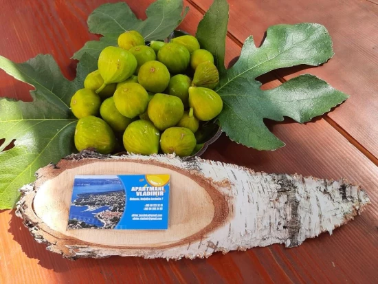 Apartmán Ostrov Krk - Malinska OS 12202 N3