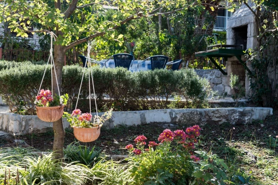 Domek Ostrov Brač - Postira OS 12203 N1