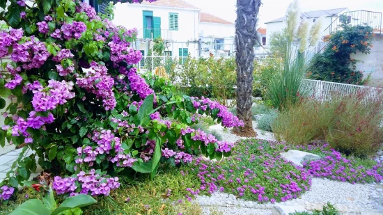 Apartmán Severní Dalmácie - Primošten DA 17263 N2