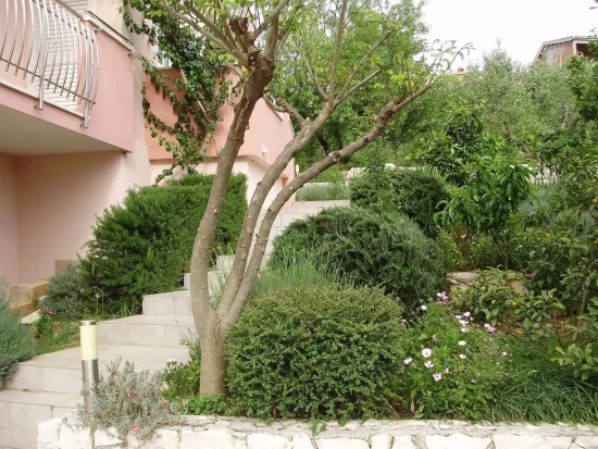 Apartmán Střední Dalmácie - Okrug Gornji DA 17267 N2