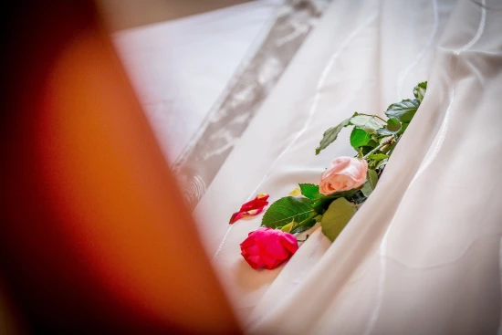 Apartmán Střední Dalmácie - Okrug Gornji DA 17267 N2