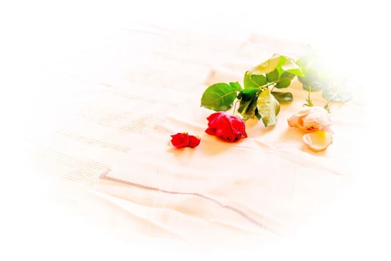 Apartmán Střední Dalmácie - Okrug Gornji DA 17267 N4