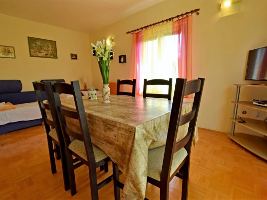 Apartmán Severní Dalmácie - Seline DA 17269 N1