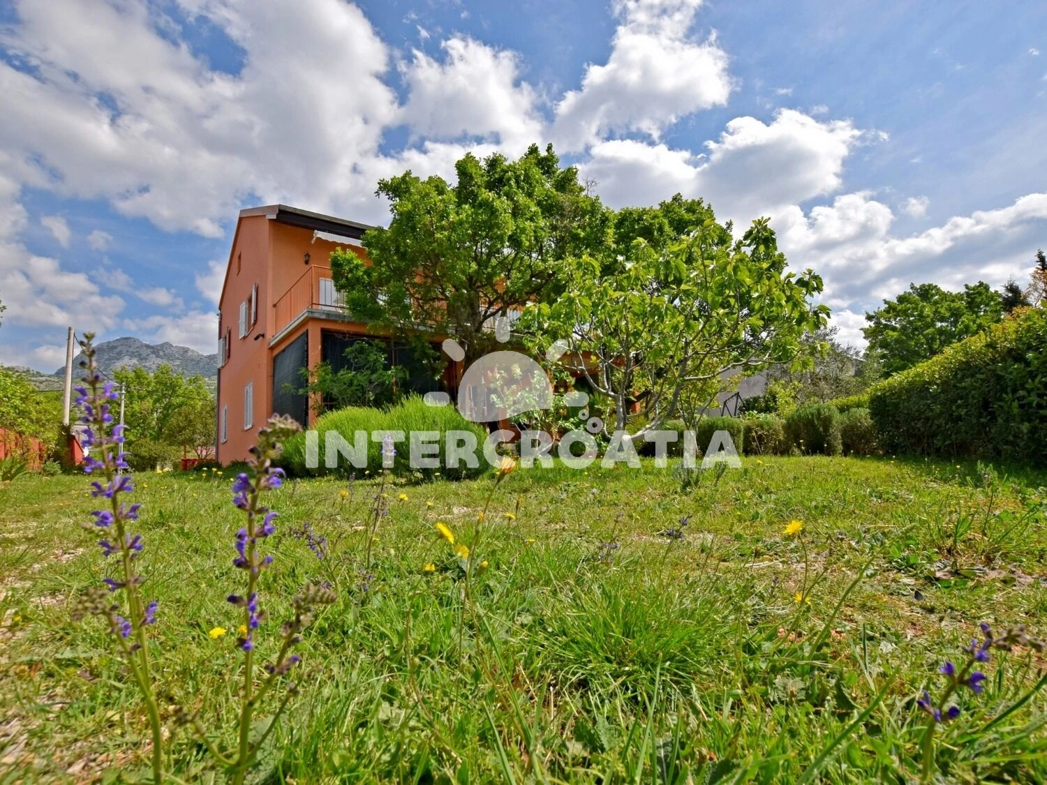 Apartmán Severní Dalmácie - Seline DA 17269 N2