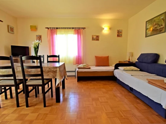 Apartmán Severní Dalmácie - Seline DA 17269 N2