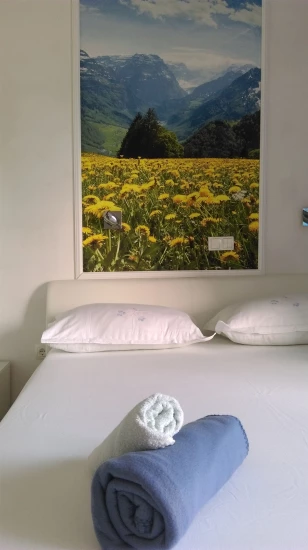 Apartmán Ostrov Brač - Sumartin OS 12210 N3