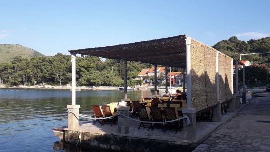 Apartmán Jižní Dalmácie - Zaton (Dubrovník) DA 17271 N1