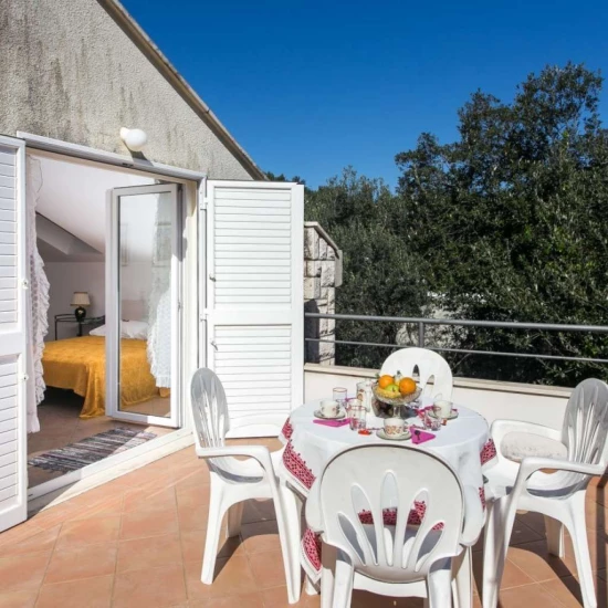 Apartmán Jižní Dalmácie - Zaton (Dubrovník) DA 17271 N1