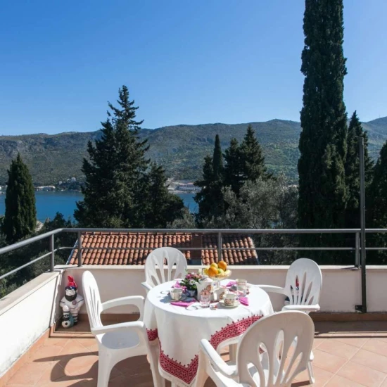 Apartmán Jižní Dalmácie - Zaton (Dubrovník) DA 17271 N1