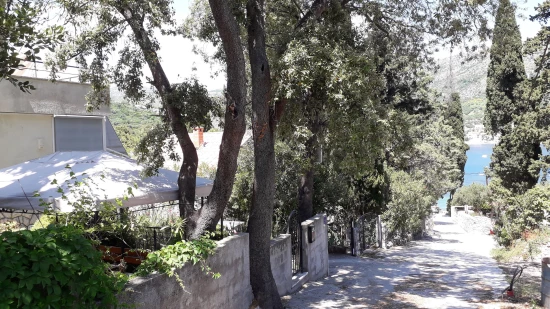 Apartmán Jižní Dalmácie - Zaton (Dubrovník) DA 17271 N2