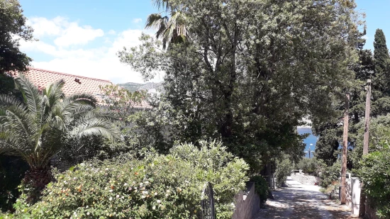 Apartmán Jižní Dalmácie - Zaton (Dubrovník) DA 17271 N2