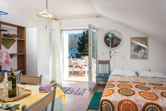 Apartmán Jižní Dalmácie - Zaton (Dubrovník) DA 17271 N2