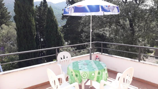 Apartmán Jižní Dalmácie - Zaton (Dubrovník) DA 17271 N2