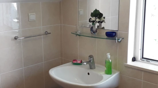 Apartmán Jižní Dalmácie - Zaton (Dubrovník) DA 17271 N2