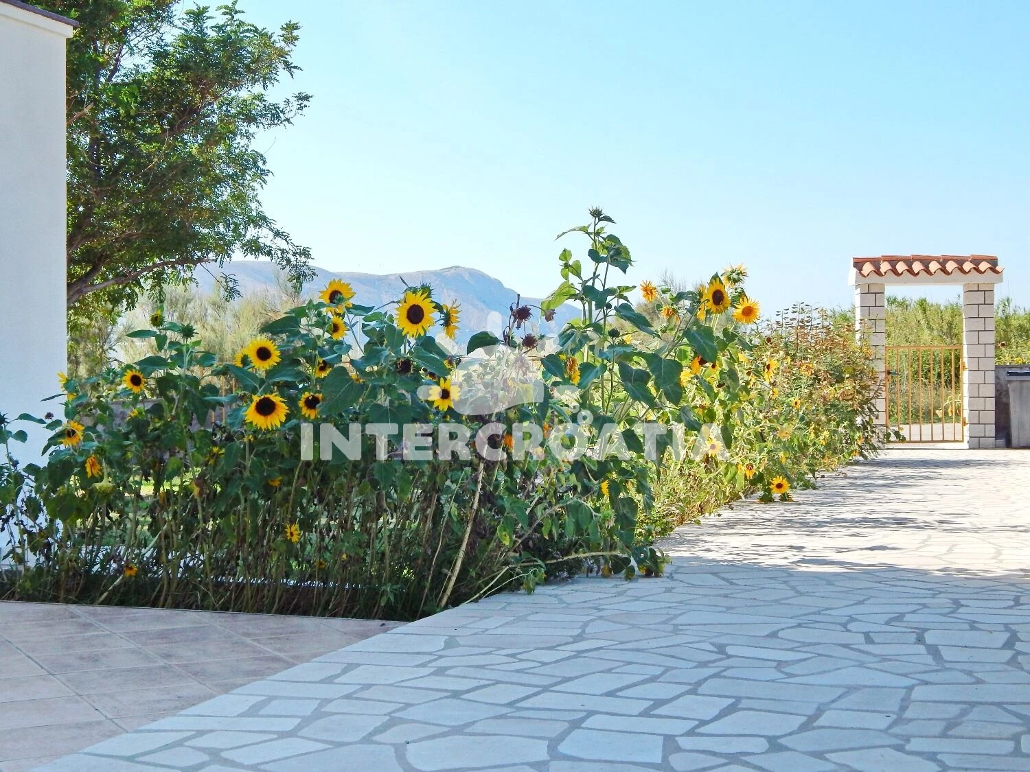 Apartmán Ostrov Pag - Pag OS 12211 N2