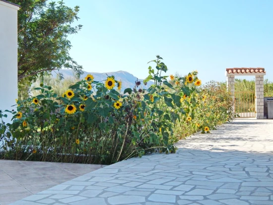 Apartmán Ostrov Pag - Pag OS 12211 N2