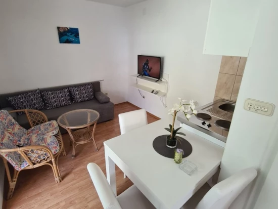 Apartmán Severní Dalmácie - Seline DA 17273 N1