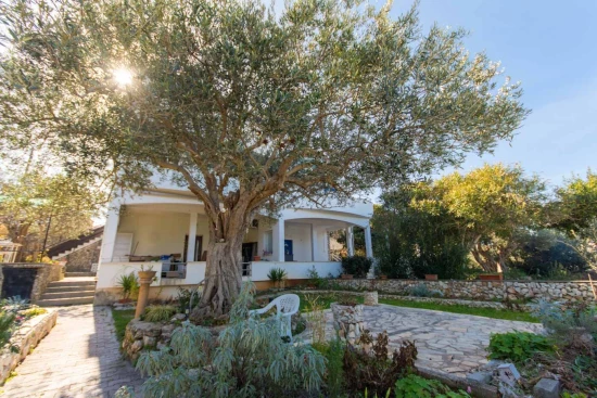 Apartmán Střední Dalmácie - Okrug Gornji DA 17274 N2