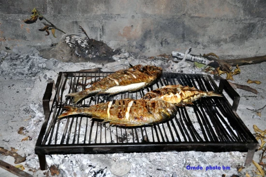 Apartmán Severní Dalmácie - Rogoznica DA 17275 N1