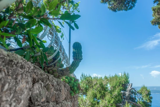 Apartmán Střední Dalmácie - Staniči DA 17280 N1