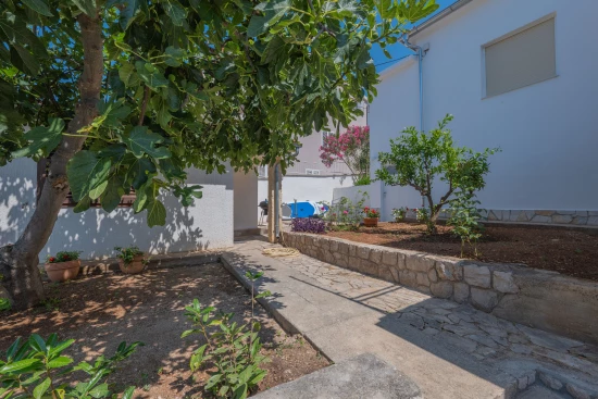 Domek Ostrov Murter - Tisno OS 12213 N1