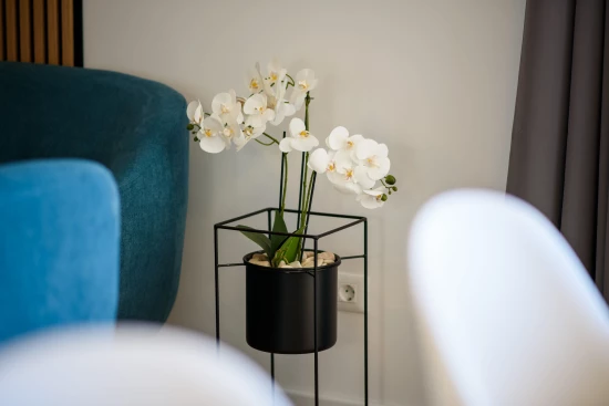 Domek Jižní Dalmácie - Janjina DA 17281 N1