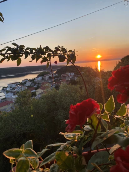 Apartmán Ostrov Rab - Kampor OS 12215 N1