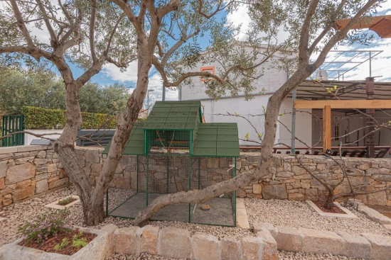 Vila Severní Dalmácie - Vodice DA 17284 N1